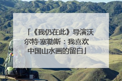 《我仍在此》导演沃尔特·塞勒斯：我喜欢中国山水画的留白