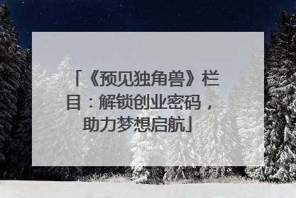 《预见独角兽》栏目：解锁创业密码，助力梦想启航