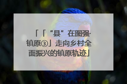 「“县”在图强·镇原③」走向乡村全面振兴的镇原轨迹