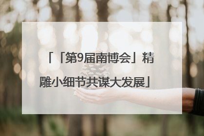「第9届南博会」精雕小细节共谋大发展