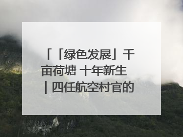 「绿色发展」千亩荷塘 十年新生｜四任航空村官的“生态接力”