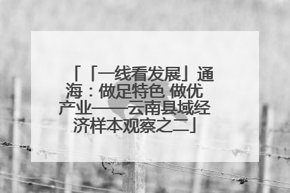 「一线看发展」通海：做足特色 做优产业——云南县域经济样本观察之二