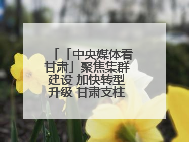 「中央媒体看甘肃」聚焦集群建设 加快转型升级 甘肃支柱产业增势强劲