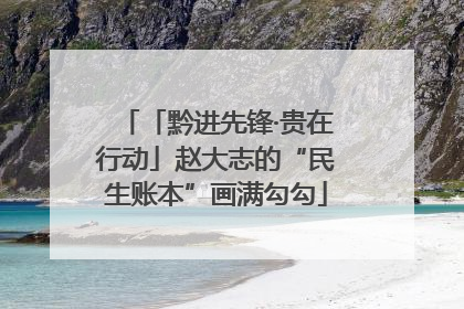 「黔进先锋·贵在行动」赵大志的“民生账本”画满勾勾