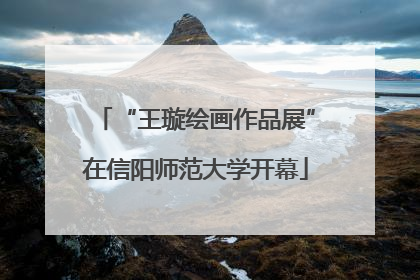 “王璇绘画作品展”在信阳师范大学开幕
