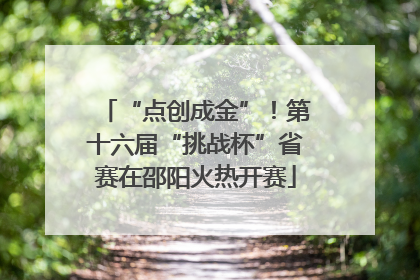 “点创成金”！第十六届“挑战杯”省赛在邵阳火热开赛