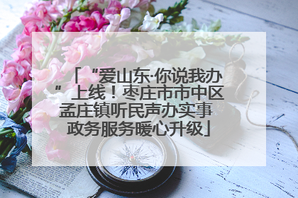 “爱山东·你说我办”上线！枣庄市市中区孟庄镇听民声办实事 政务服务暖心升级