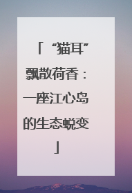 “猫耳”飘散荷香：一座江心岛的生态蜕变