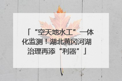 “空天地水工”一体化监测！湖北黄冈河湖治理再添“利器”