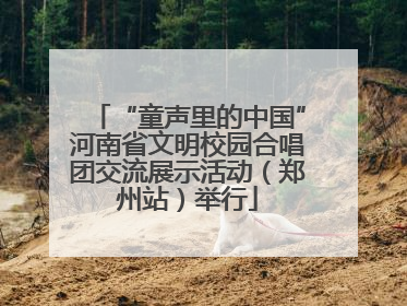 “童声里的中国”河南省文明校园合唱团交流展示活动（郑州站）举行