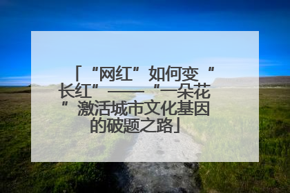 “网红”如何变“长红”——“一朵花”激活城市文化基因的破题之路