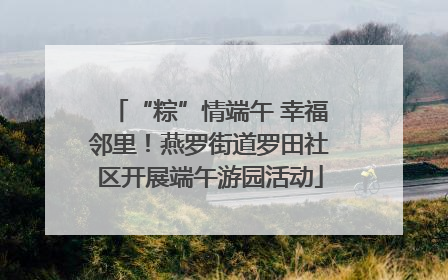 “粽”情端午 幸福邻里！燕罗街道罗田社区开展端午游园活动
