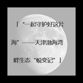 “一起守护好这片海”——天津渤海湾畔生态“蜕变记”