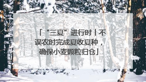 “三夏”进行时丨不误农时完成夏收夏种，确保小麦颗粒归仓