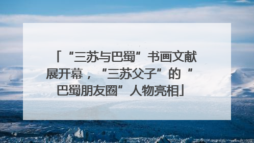 “三苏与巴蜀”书画文献展开幕，“三苏父子”的“巴蜀朋友圈”人物亮相
