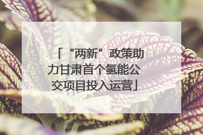 “两新”政策助力甘肃首个氢能公交项目投入运营