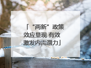 “两新”政策效应显现 有效激发内需潜力
