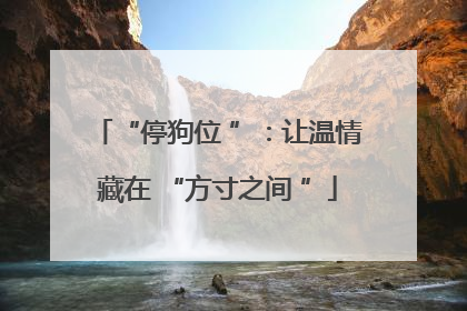 “停狗位 ”：让温情藏在 “方寸之间 ”