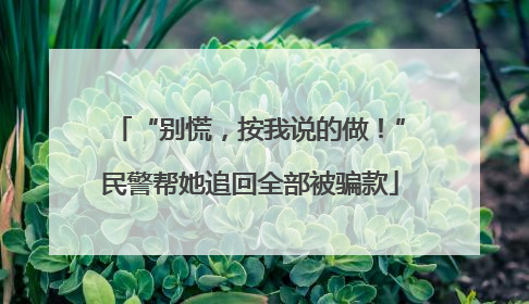 “别慌，按我说的做！”民警帮她追回全部被骗款