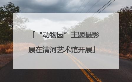 “动物园”主题摄影展在清河艺术馆开展