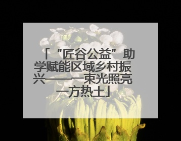 “匠谷公益”助学赋能区域乡村振兴——一束光照亮一方热土