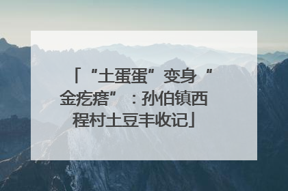 “土蛋蛋”变身“金疙瘩”：孙伯镇西程村土豆丰收记