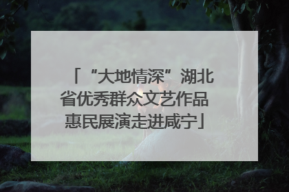 “大地情深”湖北省优秀群众文艺作品惠民展演走进咸宁