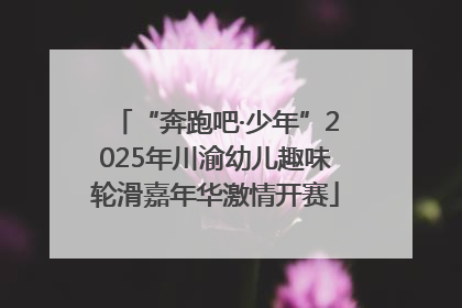 “奔跑吧·少年”2025年川渝幼儿趣味轮滑嘉年华激情开赛
