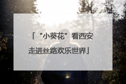 “小葵花”看西安走进丝路欢乐世界