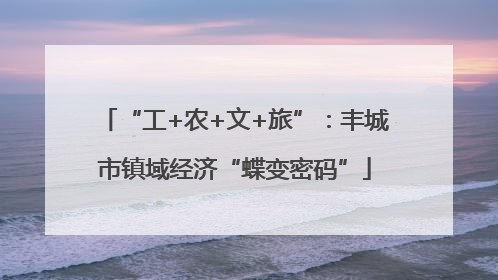 “工+农+文+旅”：丰城市镇域经济“蝶变密码”