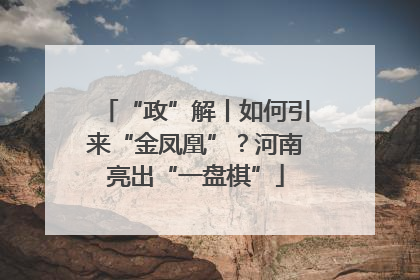 “政”解丨如何引来“金凤凰”？河南亮出“一盘棋”