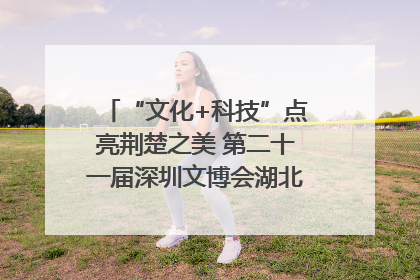 “文化+科技”点亮荆楚之美 第二十一届深圳文博会湖北馆抢“鲜”看
