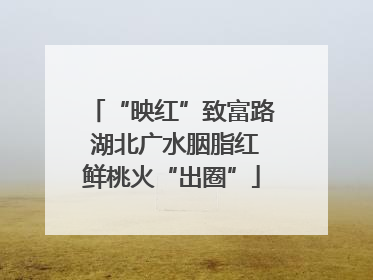 “映红”致富路 湖北广水胭脂红鲜桃火“出圈”