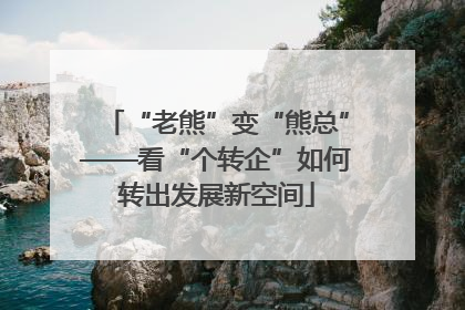 “老熊”变“熊总”——看“个转企”如何转出发展新空间