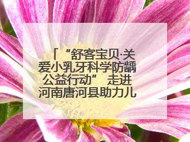 “舒客宝贝·关爱小乳牙科学防龋公益行动” 走进河南唐河县助力儿童口腔健康