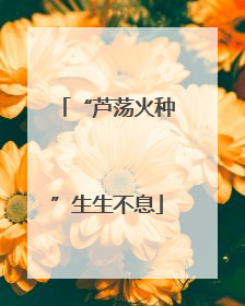 “芦荡火种”生生不息