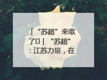 “苏超”来歌了⑪｜“苏超”：江苏力量，在这里聚焦