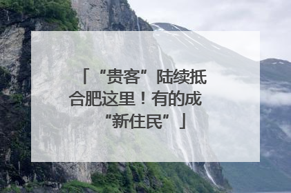 “贵客”陆续抵合肥这里！有的成“新住民”