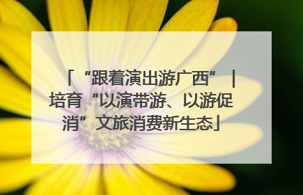 “跟着演出游广西”｜培育“以演带游、以游促消”文旅消费新生态