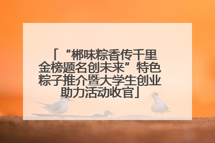 “郴味粽香传千里 金榜题名创未来”特色粽子推介暨大学生创业助力活动收官