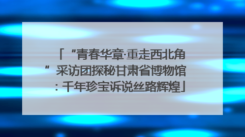 “青春华章·重走西北角”采访团探秘甘肃省博物馆：千年珍宝诉说丝路辉煌