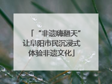 “非遗嗨翻天”让阜阳市民沉浸式体验非遗文化