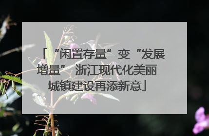 “闲置存量”变“发展增量” 浙江现代化美丽城镇建设再添新意