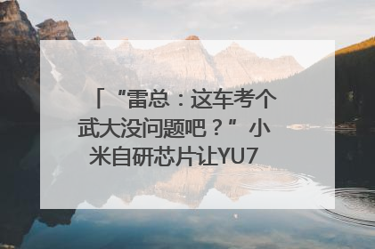 “雷总：这车考个武大没问题吧？”小米自研芯片让YU7会学习｜汽车科技