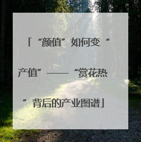 “颜值”如何变“产值”——“赏花热”背后的产业图谱