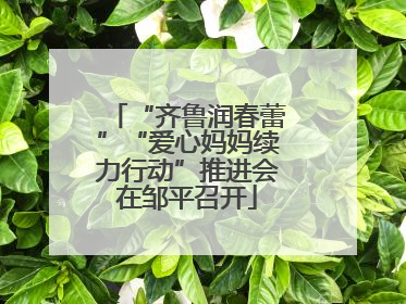 “齐鲁润春蕾”“爱心妈妈续力行动”推进会在邹平召开