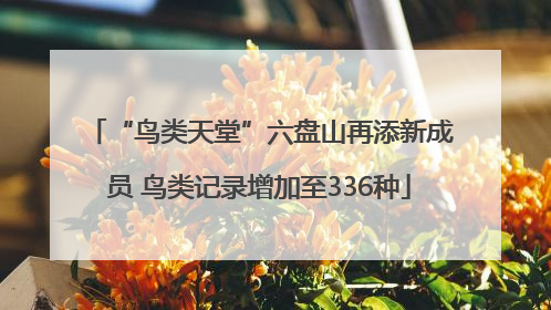 “鸟类天堂”六盘山再添新成员 鸟类记录增加至336种