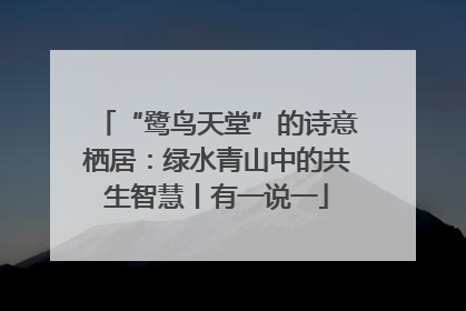 “鹭鸟天堂”的诗意栖居：绿水青山中的共生智慧丨有一说一