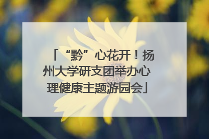 “黔”心花开！扬州大学研支团举办心理健康主题游园会