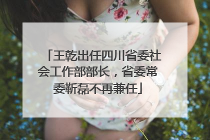 王乾出任四川省委社会工作部部长，省委常委靳磊不再兼任